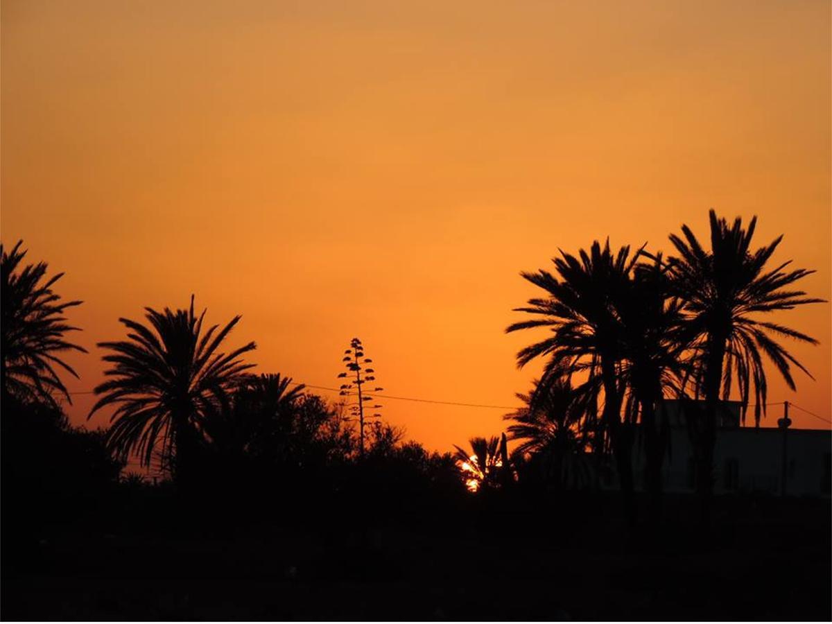 Bed and Breakfast Dar Jasmin Djerba Temlale Zewnętrze zdjęcie