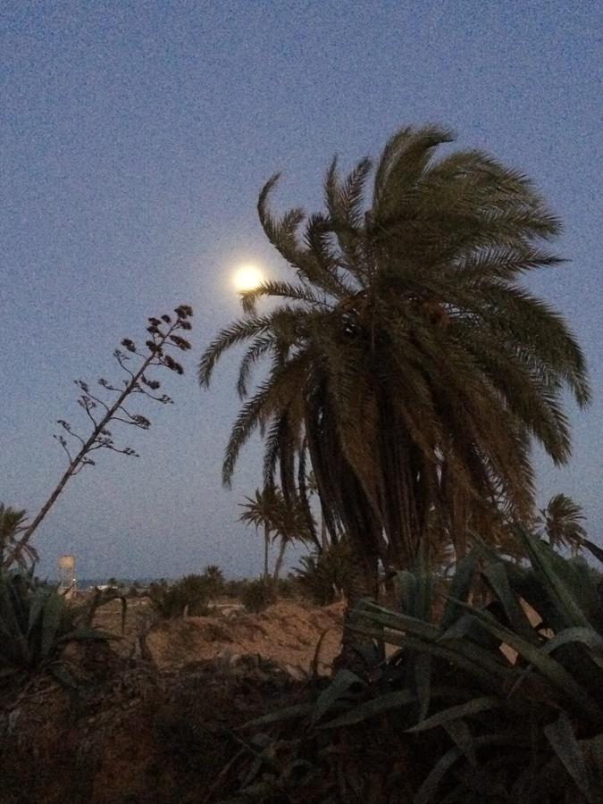 Bed and Breakfast Dar Jasmin Djerba Temlale Zewnętrze zdjęcie
