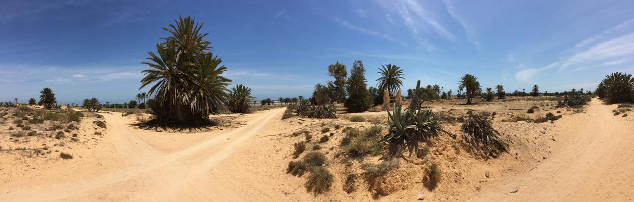 Bed and Breakfast Dar Jasmin Djerba Temlale Zewnętrze zdjęcie