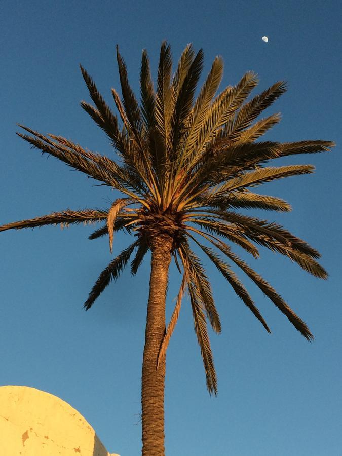 Bed and Breakfast Dar Jasmin Djerba Temlale Zewnętrze zdjęcie