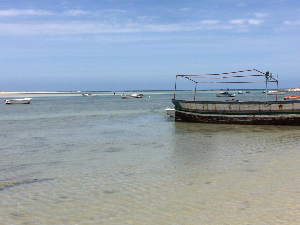 Bed and Breakfast Dar Jasmin Djerba Temlale Zewnętrze zdjęcie