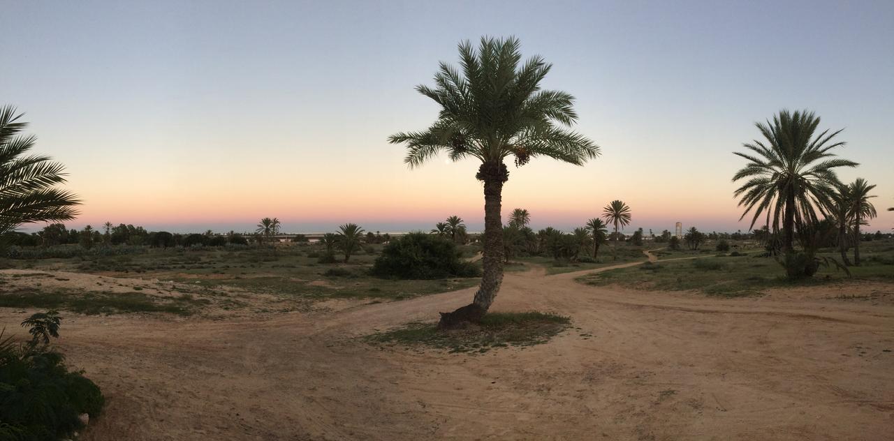 Bed and Breakfast Dar Jasmin Djerba Temlale Zewnętrze zdjęcie