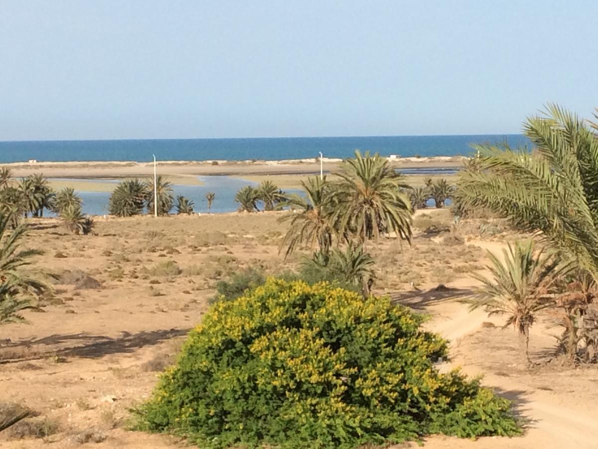 Bed and Breakfast Dar Jasmin Djerba Temlale Zewnętrze zdjęcie