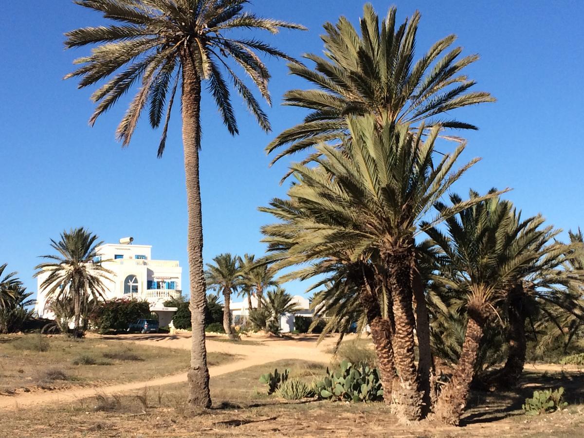 Bed and Breakfast Dar Jasmin Djerba Temlale Zewnętrze zdjęcie