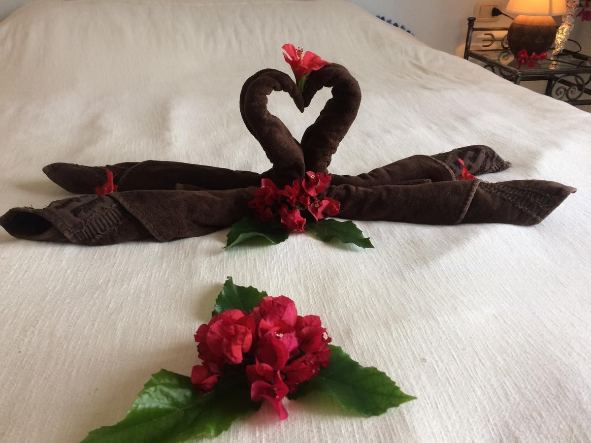Bed and Breakfast Dar Jasmin Djerba Temlale Zewnętrze zdjęcie