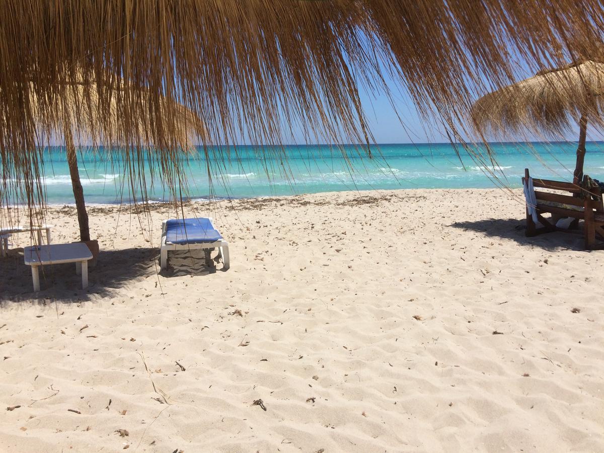 Bed and Breakfast Dar Jasmin Djerba Temlale Zewnętrze zdjęcie